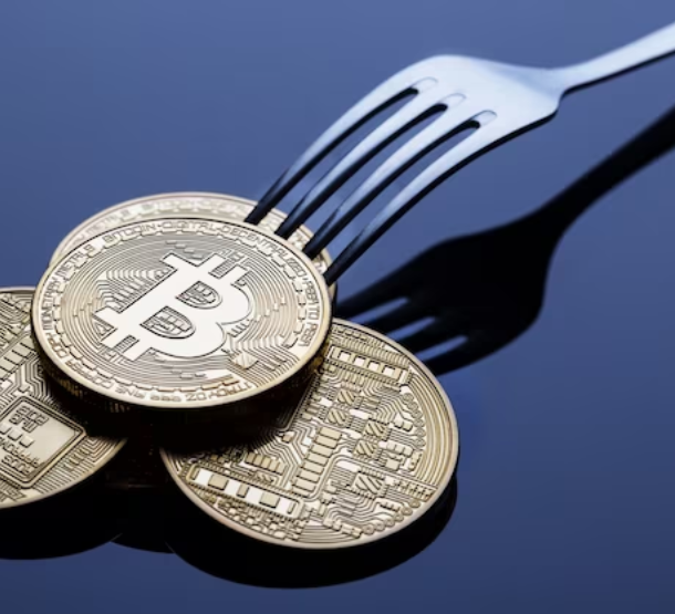 Consensus Forking Services Provider